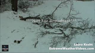 11162018 Butler PA Winter Storm Damage from Ice Storm [upl. by Hazmah]