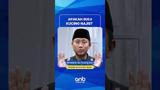 Bulu Kucing Najis  Ustadz Ammi Nur Baits [upl. by Nylde]