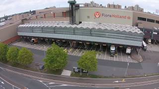 FloraHolland Naaldwijk Westland [upl. by Akoyin135]