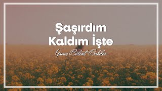 Yavuz Bülent Bakiler  Şaşırdım Kaldım İşte [upl. by Yruj]