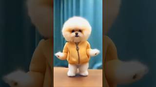 Doggy dance trending video shortvideo bhojpuri dance doggys [upl. by Bogie668]