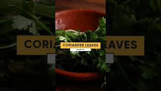 Experience a Health Transformation with Coriander Leaves Water shorts [upl. by Aicia]