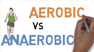 AEROBIC vs ANAEROBIC DIFFERENCE [upl. by Silva74]