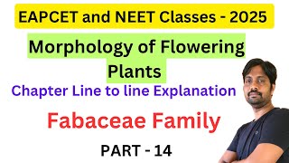 Fabaceae Family  Morphology of Flowering Plants Chapter Line by line Explanation  Part 14 [upl. by Richma798]