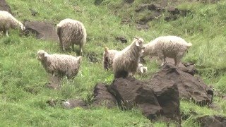 Lesotho Daily Life [upl. by Caria]