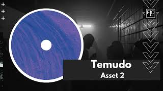 Temudo  Asset 2 [upl. by Housum]