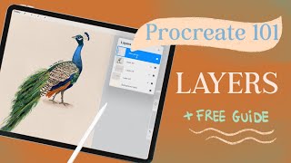 Procreate for beginners how to work with layers part 3  free guide [upl. by Maiga310]