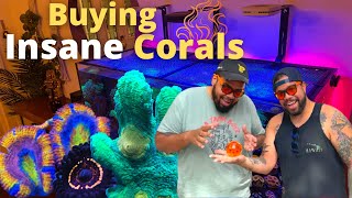 Buying insane corals Crazy Frankenstein Bounce Mushroom [upl. by Gnoh]