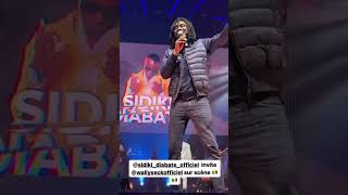 Wally Seck amp Sidiki Diabaté à Bercy [upl. by Olocin]