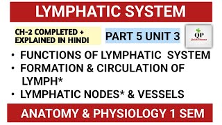 Lymphatic System  Lymph Nodes  Lymph Vessels  Functions  Part 5 Unit 3 complete  Hap 1st [upl. by Htehpaj526]