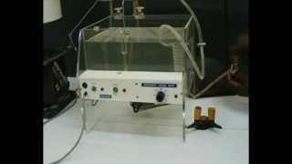 Pharmacology  Pharmacological Lab Procedures  Set Up an Isolated Tissue  Setting Up the Organ Bat [upl. by Ednarb]