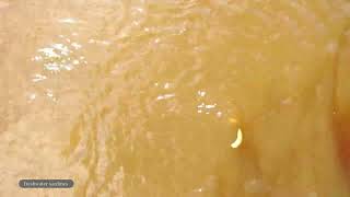 Ecuador 2023 Full Length 2h55min Part 1 The Amazon [upl. by Kerby]