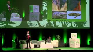 World Forestry Conference 2015  Durban  Tree Talk with John Scanlon [upl. by Hidie341]