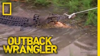 Wild Croc Catch  Outback Wrangler [upl. by Niajneb]