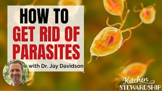 How to Get Rid of Parasites and Keep them Away with Dr Jay Davidson [upl. by Anala]