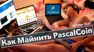 Майнинг видеокартой PascalCoin на Пуле nanopool Как подключиться [upl. by Olav]