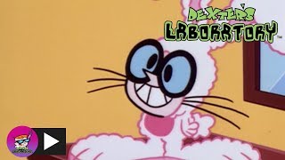 Dexters Laboratory  Ratman Begins  Cartoon Network [upl. by Anairda]