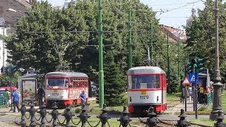 Tramvaiele din Arad [upl. by Merat]