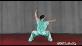 Wu Bu Quan 五步拳 [upl. by Lon490]