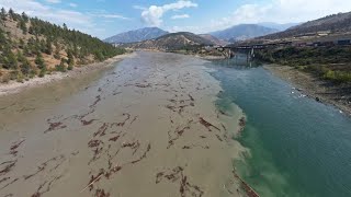 Chilcotin River Debris Now Fraser River Bend bridge  Lytton BC [upl. by Pressey]