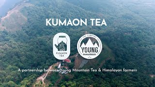 Kumaon Tea  A FarmerOwned Specialty Tea Company In Indian Himalayas [upl. by Richter386]