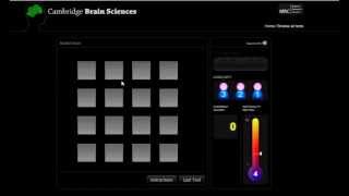 Spatial Span Cambridge Brain Sciences [upl. by Aniretac]