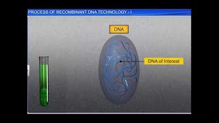 CBSE Class 12 Biology  Process of Recombinant DNA Technol  I [upl. by Dasi342]