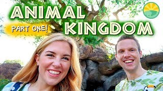 Disneys Animal Kingdom Asia and Pandora  Maddie Moate [upl. by Gebhardt]