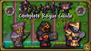 COMPLETE Rogue Guide for Calamity 201 [upl. by Goodrow722]