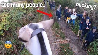 uh oh soo many people  GO PRO HACK  equinemollie [upl. by Orthman]