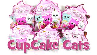 Blue Ocean CupCake Cats  UNBOXING [upl. by Eirahcaz229]