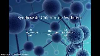 Synthèse du chlorure de tertButyle [upl. by Adnuahsor]