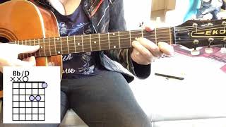 How to play a BbD chord guitar lesson for beginners musictheory chord guitarlesson [upl. by Imak]