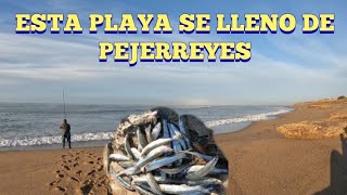 SE LLENO DE PECES ESTA PLAYA PESCA DE PEJERREYES DESDE PLAYA PESCON AL VUELO [upl. by Odnomyar]