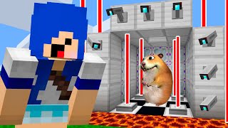 ESSE HAMSTER TAVA 100 PROTEGIDO E IMPOSSIVEL DE PEGAR FIND CHOMIKS MINECRAFT [upl. by Etireuqram]