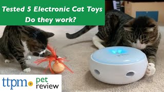 Electronic Cat Toy Reviews  Do They Work  We Tested Them All [upl. by Eimac]