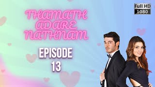 Thamath Adare Nathnam Episode 13 ᴴᴰ [upl. by Darsey]