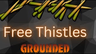 How To Find Thistles In Grounded [upl. by Atinyl]