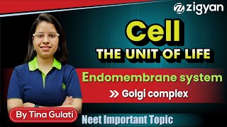 Golgi body  Golgi complex  Golgi apparatus  Endomembrane system  NEET  Dictyosome [upl. by Shirberg]