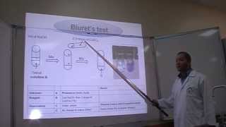 biuret test for proteins in egg yolk shorts [upl. by Trebmal]