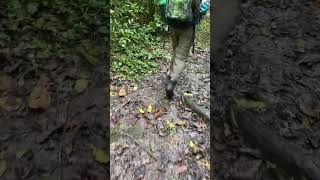 Boot Malfunction in Ugandan Jungle while Chimpanzee Trekking Watch Until then End 😂 [upl. by Raknahs]