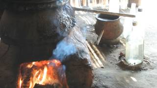 The making of palm wine and palm liquor in Bagan Myanmar [upl. by Lanae455]