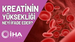 Kreatinin Yüksekliği Neyi İfade Eder [upl. by Arel]