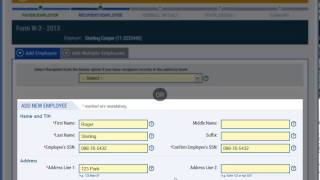 How to EFile a W2 Form [upl. by Nerrat]