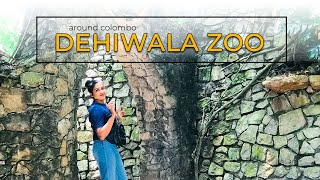 දෙහිවල Zoo එකට ගියේ  around colombo  VLOG 14 travelyamuko [upl. by Fielding]