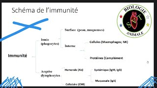 Immunité inné amp Immunité acquise [upl. by Orlando]