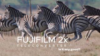 Why the Fujifilm 2x teleconverter is good [upl. by Elohcim]