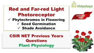 Red and FarRed Light Effect on Seed germination  PHYTOCHROME  SDP amp LDP  With Practice Questions [upl. by Galloway]