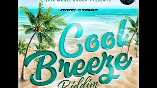 COOL BREEZE RIDDIM MixFeb 2020 EPIK MUSIC GROUP [upl. by Ettegirb]