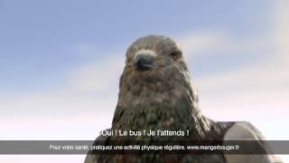 YTP FR  Le pigeon qui fait caca [upl. by Downey]